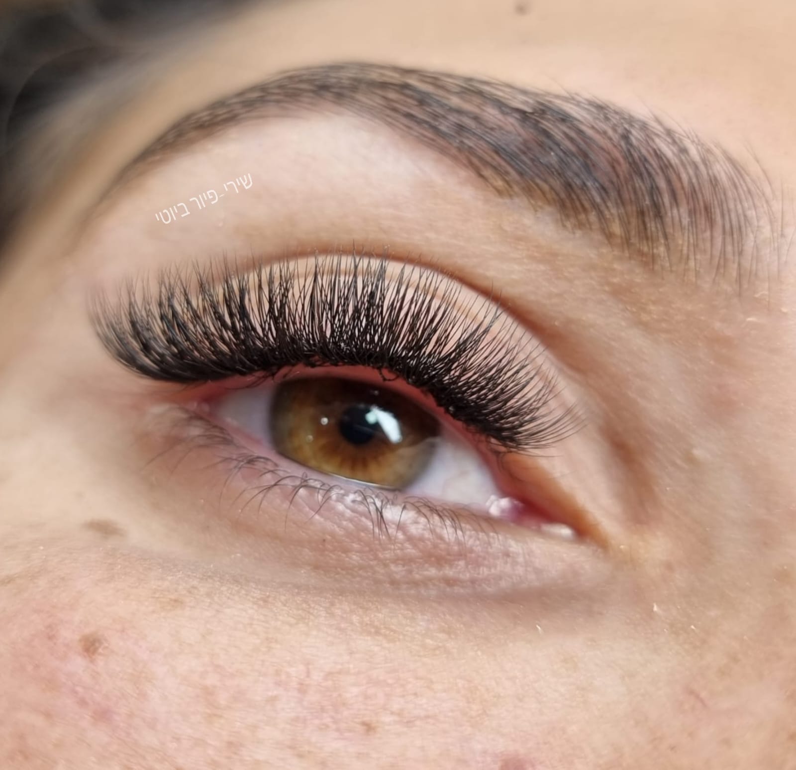 לורם איפסום5